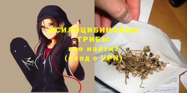 PSILOCYBIN Арсеньев