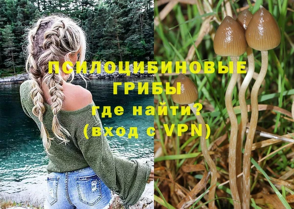 ГАЛЛЮЦИНОГЕННЫЕ ГРИБЫ Аркадак