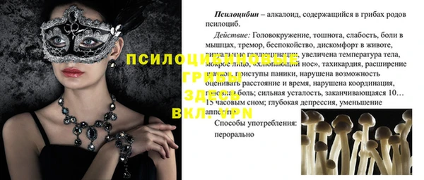 ГАЛЛЮЦИНОГЕННЫЕ ГРИБЫ Аркадак