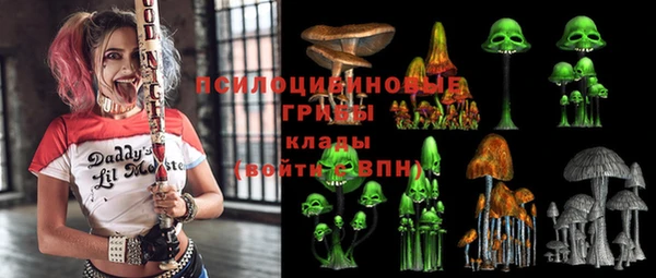 PSILOCYBIN Арсеньев