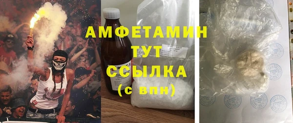 ГАЛЛЮЦИНОГЕННЫЕ ГРИБЫ Аркадак